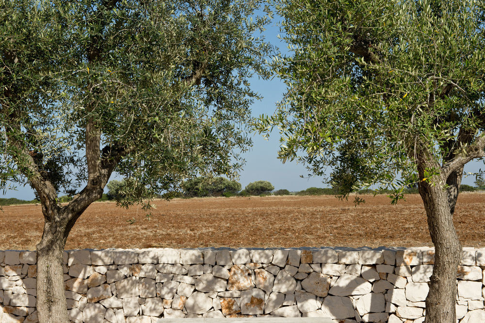 Grand Hotel Masseria Santa Lucia Ostuni Esterno foto